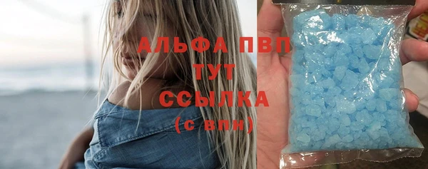 дурь Няндома