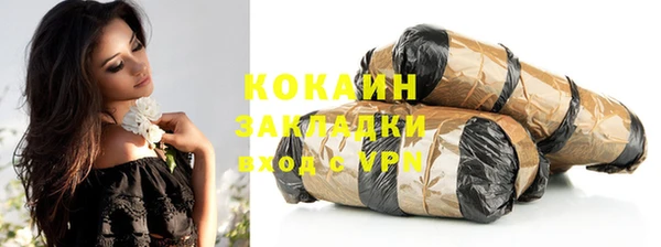 дурь Няндома
