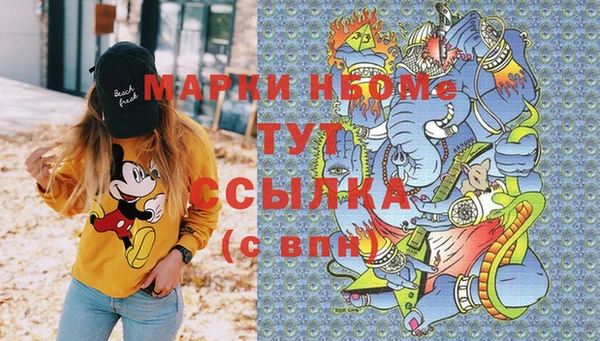 дурь Няндома