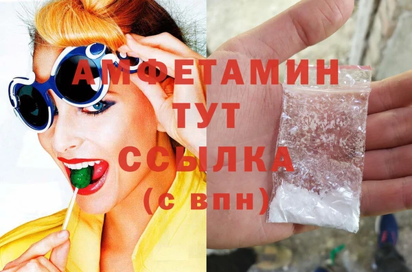 дурь Няндома