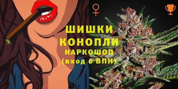шишки Нягань