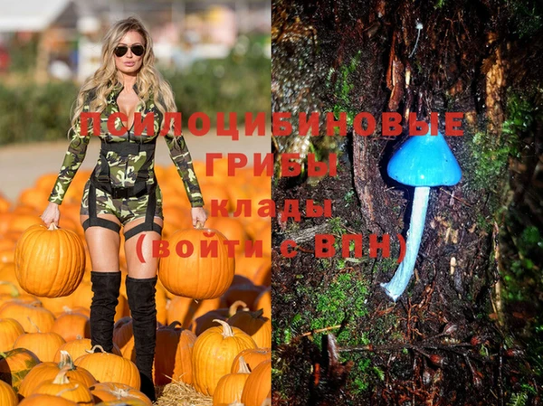 дурь Няндома