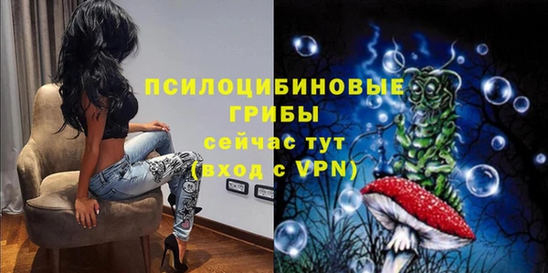 шишки Нягань