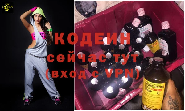 дурь Няндома