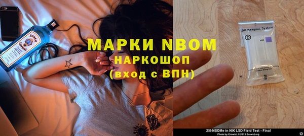 дурь Няндома