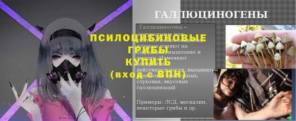 шишки Нягань