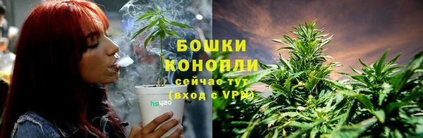 шишки Нягань