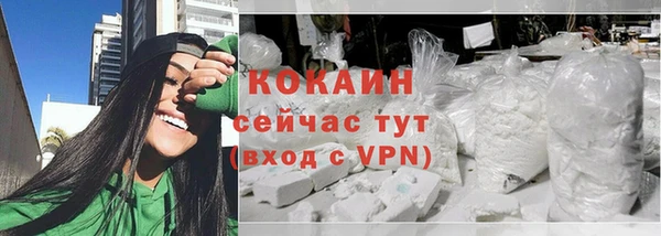дурь Няндома