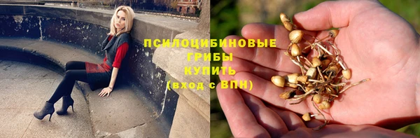 шишки Нягань