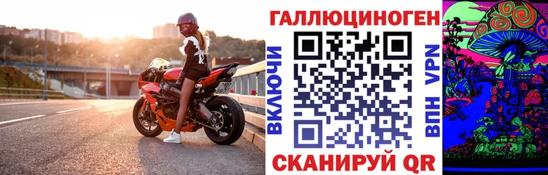 Купить закладки  Карачев  Псилоцибиновые грибы MAGIC MUSHROOMS 
